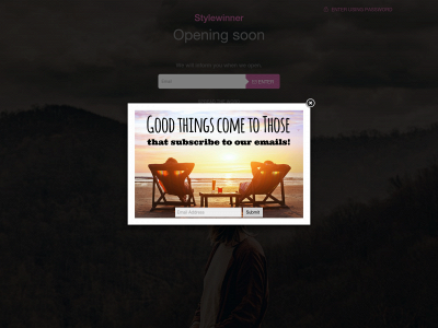 stylewinner.com snapshot