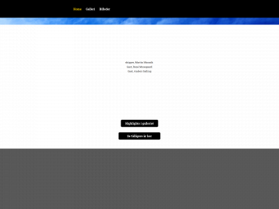 team-mannik.dk snapshot