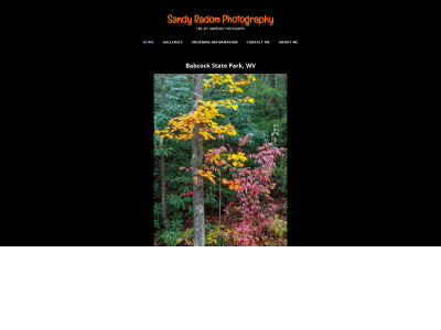 sandyradomphotography.com snapshot