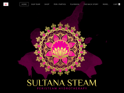 www.sultanasteam.com snapshot