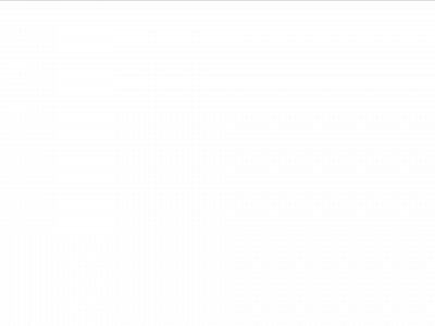 rasha.com snapshot