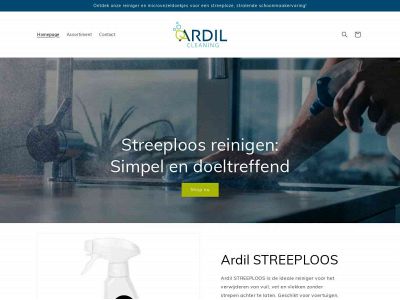 ardilcleaning.com snapshot