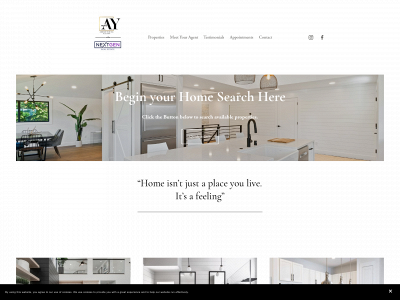 ashleysellshtx.com snapshot