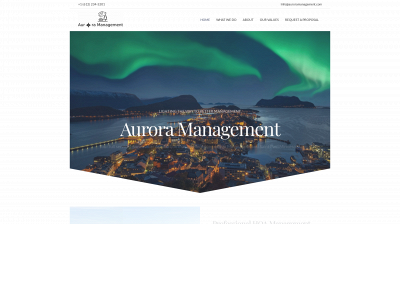 auroramanagement.com snapshot