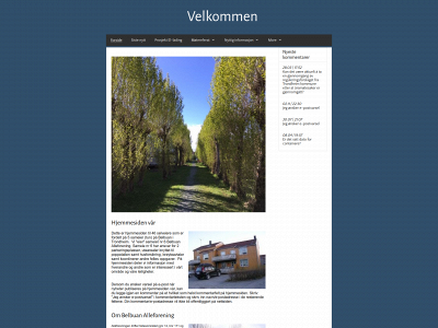 belbuanalleforening.com snapshot