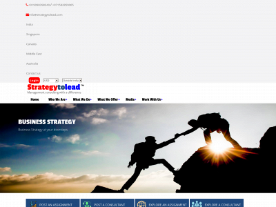 strategytolead.com snapshot
