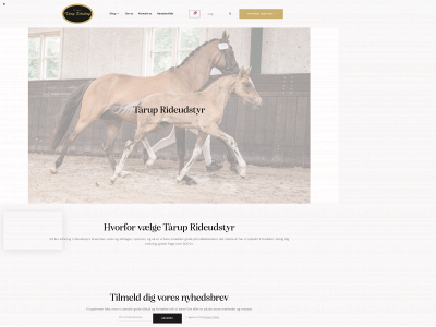 taaruprideudstyr.dk snapshot