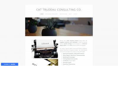 ctconsultingco.weebly.com snapshot