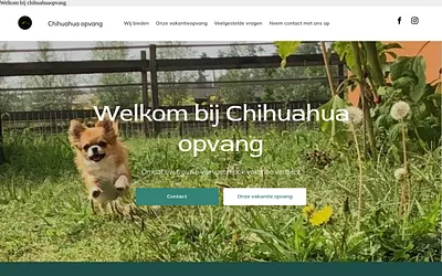 chihuahuaopvang.nl snapshot