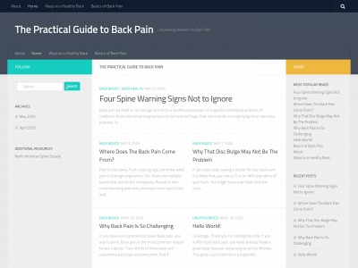 practicalback.com snapshot