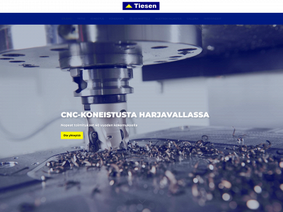 tiesen.fi snapshot