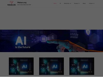 wakara.org snapshot