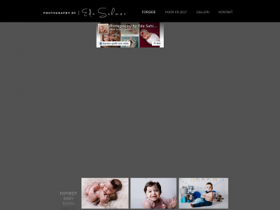edasahiner.dk snapshot