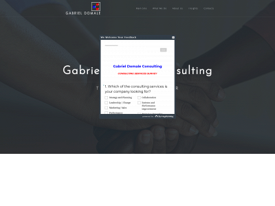 gabrieldomale.com snapshot