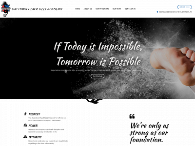baytownblackbelt.com snapshot