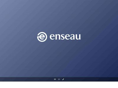 enseau.nl snapshot