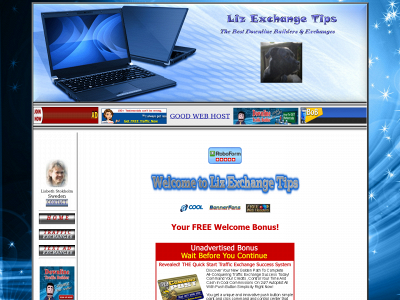 lizexchangetips.com snapshot