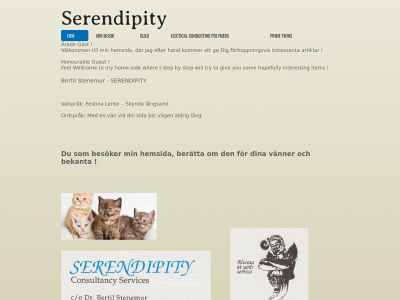 bertistene.se snapshot