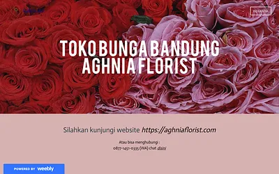 aghniaflorist.weebly.com snapshot