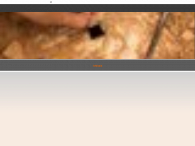 testagroep.be snapshot