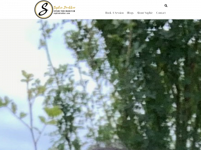 sophiedrakkar.com snapshot