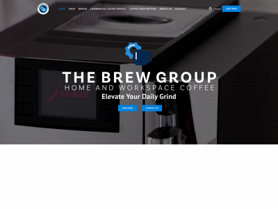 www.thebrewgrouptx.com snapshot
