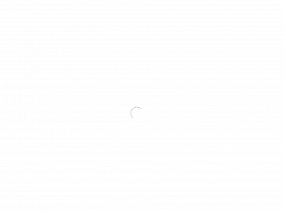 cphhair.dk snapshot