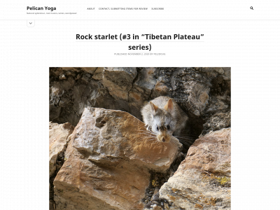 pelican-yoga.com snapshot
