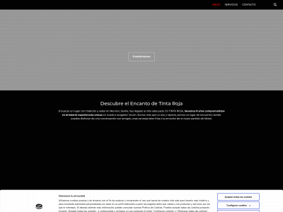 www.tintarojanervion.com snapshot