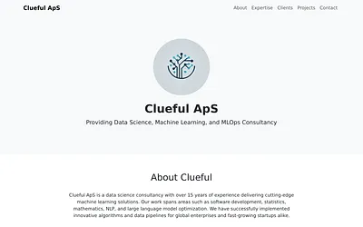 clueful.dk snapshot