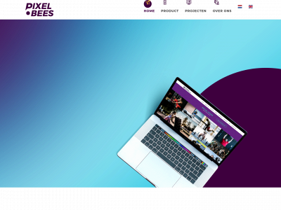 pixel-bees.com snapshot