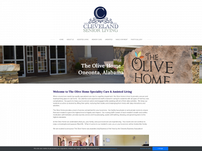 theolivehome.com snapshot