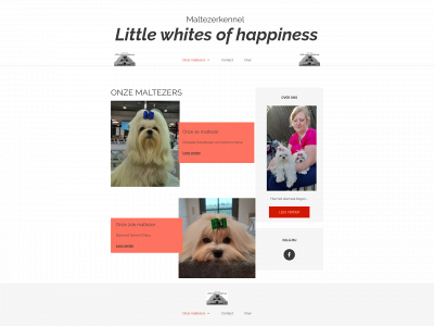 little-whites-of-happiness.be snapshot