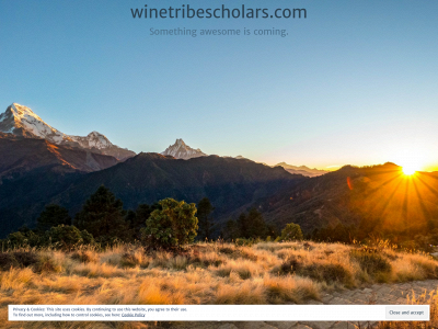 winetribescholars.com snapshot