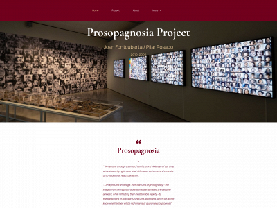 prosopagnosia.es snapshot