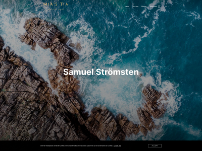 samuelstromsten.digital snapshot
