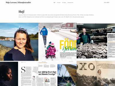 majavmlarsson.se snapshot