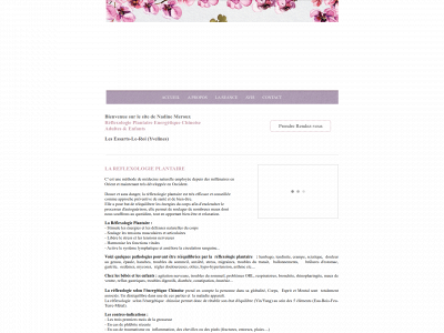 reflexologiesante.fr snapshot