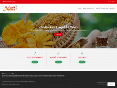floristeriamini.com snapshot