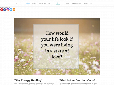 lionheartalchemy.com snapshot