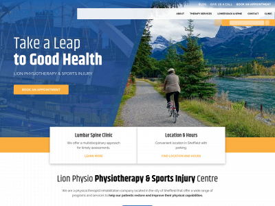 lionphysio.com snapshot