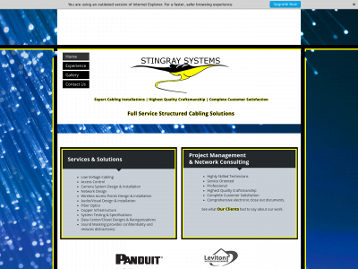 stingraysyst.com snapshot