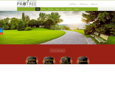 protree247.com snapshot