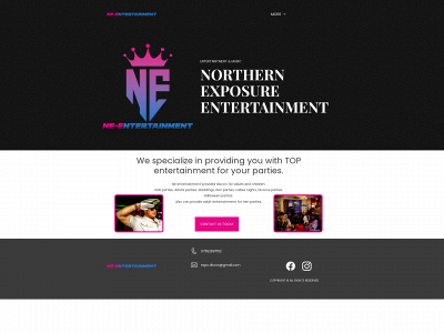ne-entertainment.co.uk snapshot