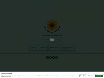 macarenagomezterron.es snapshot