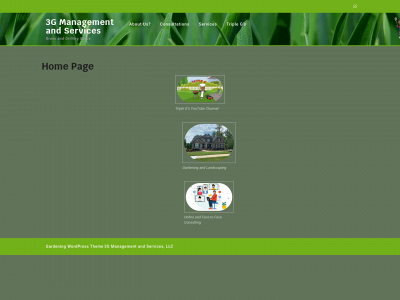 3gmanagementandservices.com snapshot