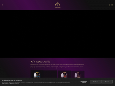 raisgroup.de snapshot