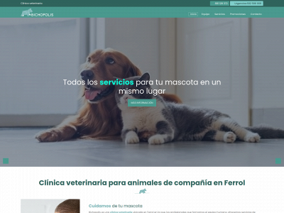 clinicabichopolis.com snapshot