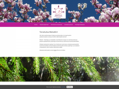 metodi.fi snapshot