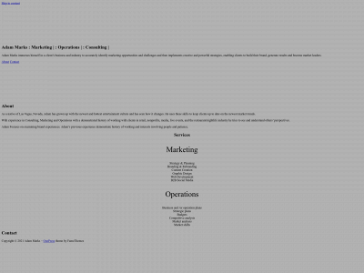 adammarksconsulting.com snapshot